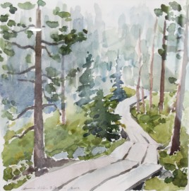 Luonto, ennen muuta Lapin maisemakuvaus, on Anna-Liisa Rikalan akvarellien aihepiiriä.
