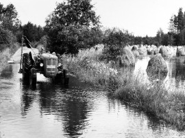 Unikeonpäivän sateen arveltiin enteilevän sadesäätä seuraavalle seitsemälle viikolle. Kuva: Sulo Friis/Emil Cedercreutzin museo