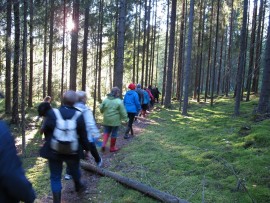 Eksyssuon lapset -kuunnelman ulkoilmaesitys kiinnostaa vuosi toisensa jälkeen. Tänä vuonna on vuorossa 11. kerta.