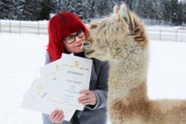 Börjellä on osansa Sirpa Ryypön menestyksessä. Alpakkapojan kuva kuului kokonaiskilpailun hopeaa tuoneeseen viiden kuvan sarjaan. Ryyppö sai hopeaa myös muotokuvasarjassa sekä kunniamaininnan lapsi- ja lemmikkikuvasarjoissa. Kuva: Kiti Salonen