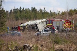 Ojaan suistuneen auton kyydissä oli 85 sikaa. Lukijan kuva.