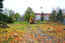 Keskuspuiston uudistamistöiden yhteydessä kaadetaan osa puista. Tilalle on tarkoitus istuttaa aikanaan uusia puita. Kuva: Lari Kiviranta.