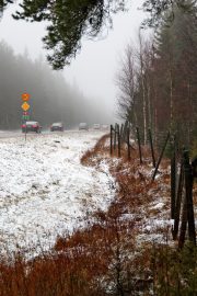 Ysitiellä on riista-aitaa reilun kilometrin osuudella Loimaan Metsämaan välillä. Kuva: Lari Kiviranta