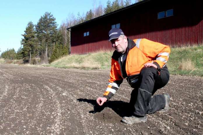 Kylvö_Kallionpää_pellolla2