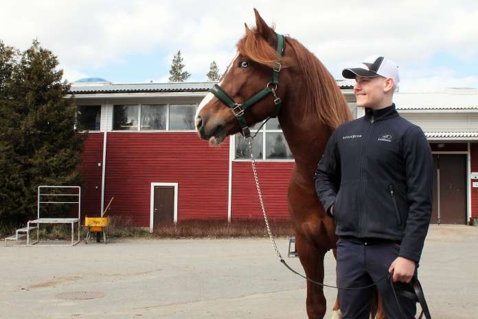 Heidi Jokisen omistama suomenhevosori Donny voitti Arvin ratsastamana nuorten suomenhevosten kenttäratsastussarjan Avant Trophy -finaalin viime vuonna. Katse onkin molemmilla nyt tiukasti tulevaisuuden kisoissa, sillä kunnianhimoa riittää sekä Donnylla että Arvilla.
