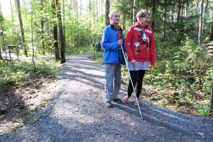nettiEsteetönHarjureitti