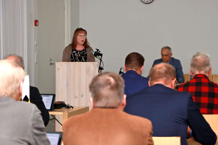 Kaupunginhallituksen puheenjohtaja Teija Ek-Marjamäki piti kauden alussa valmisteltua kaupungin strategiaa hyvänä työkaluna, jonka pohjalta on ollut hyvä suunnitella ja tehdä päätöksiä. SARI HOLAPPA